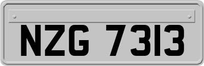 NZG7313