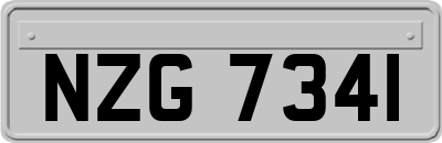 NZG7341