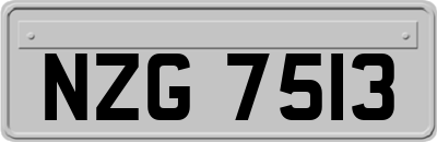 NZG7513