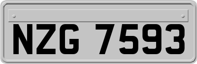 NZG7593