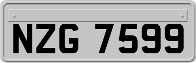 NZG7599