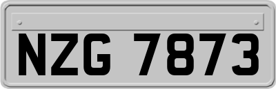 NZG7873