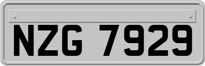 NZG7929