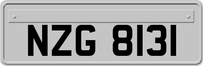 NZG8131