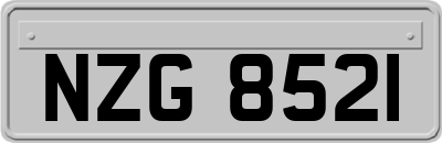 NZG8521