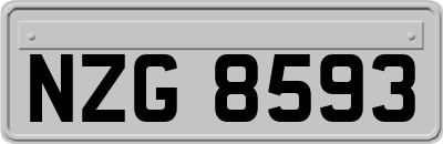 NZG8593