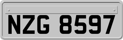 NZG8597