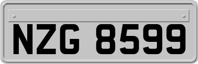 NZG8599