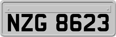 NZG8623