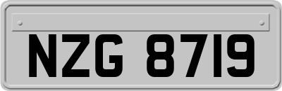 NZG8719