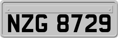 NZG8729