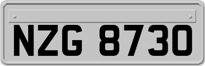 NZG8730