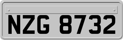 NZG8732