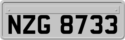 NZG8733