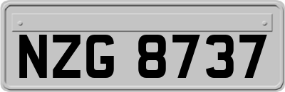 NZG8737