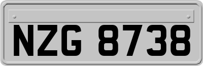 NZG8738