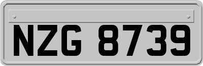 NZG8739