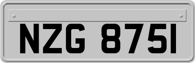 NZG8751