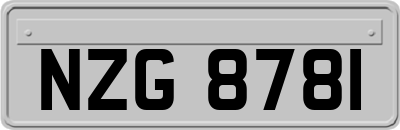 NZG8781