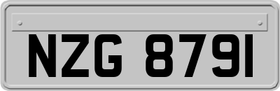 NZG8791