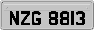 NZG8813