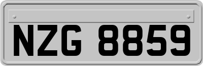 NZG8859