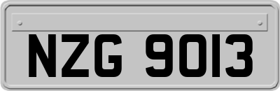 NZG9013
