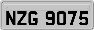 NZG9075