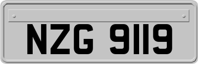 NZG9119
