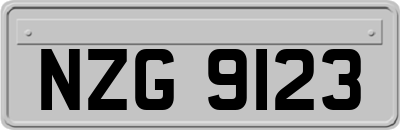 NZG9123