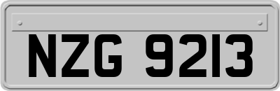 NZG9213