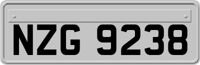 NZG9238
