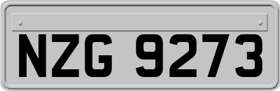 NZG9273