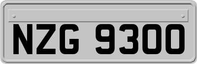NZG9300
