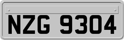 NZG9304