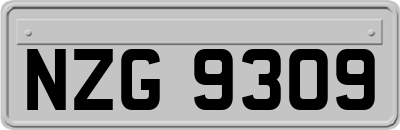 NZG9309