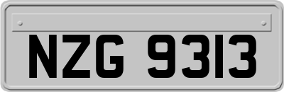 NZG9313
