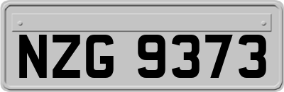 NZG9373