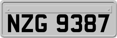 NZG9387