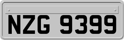 NZG9399