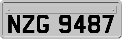NZG9487