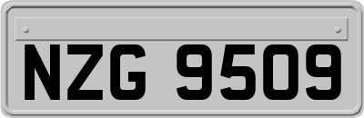 NZG9509