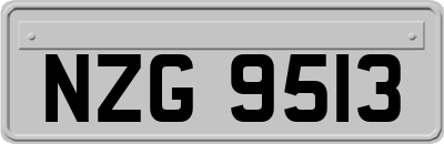 NZG9513