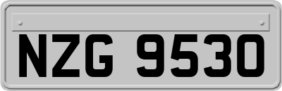 NZG9530