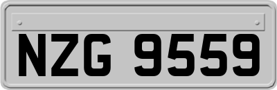NZG9559