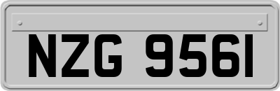 NZG9561