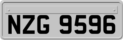 NZG9596
