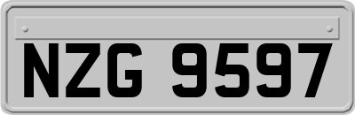 NZG9597