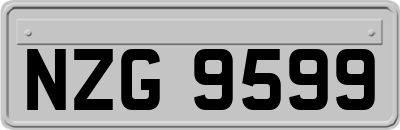 NZG9599