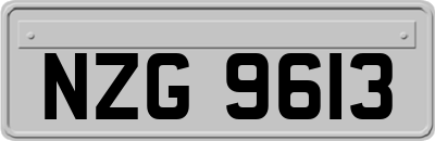 NZG9613